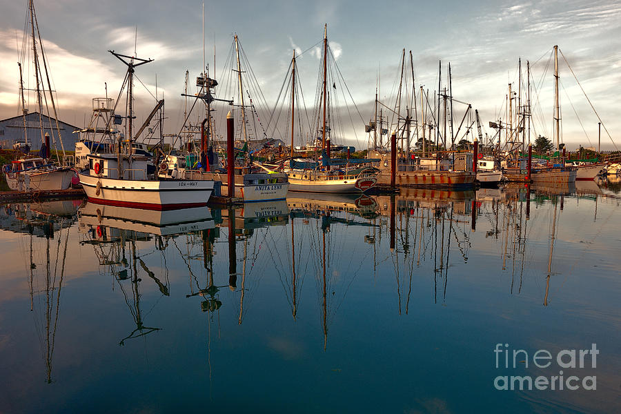 Brookings Harbor Morning Photograph by Sandra Bronstein