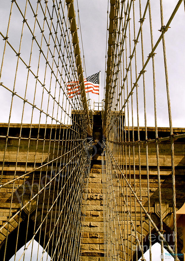 Brooklyn Bridge Photograph by Roseann Errigo