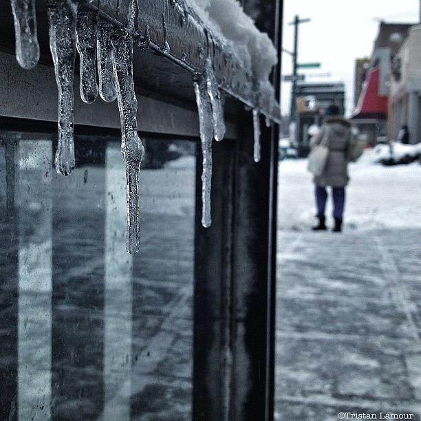 New York City Photograph - Brooklyn Icicles by Tristan Lamour