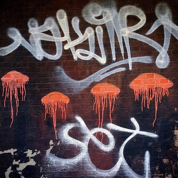 Brooklyn Photograph - #brooklyn #jellyfish [taken With by IKON Pennie