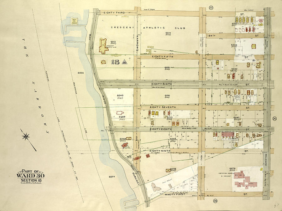 Brooklyn, Vol. 6, Double Page Plate No. 28 Part Of Ward 30 Drawing by ...