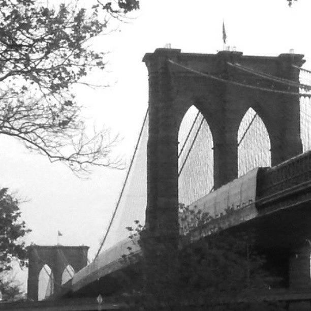 Bridge Photograph - The Brooklyn Bridge by Christopher M Moll