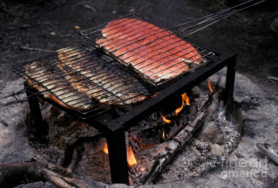 Food Photograph - Brooks River Salmon Grilling At Campsite by Ron Sanford