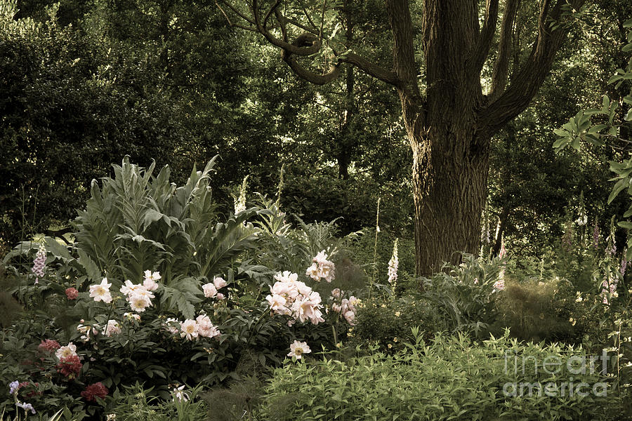 Brookside Gardens Photograph by Chris Scroggins