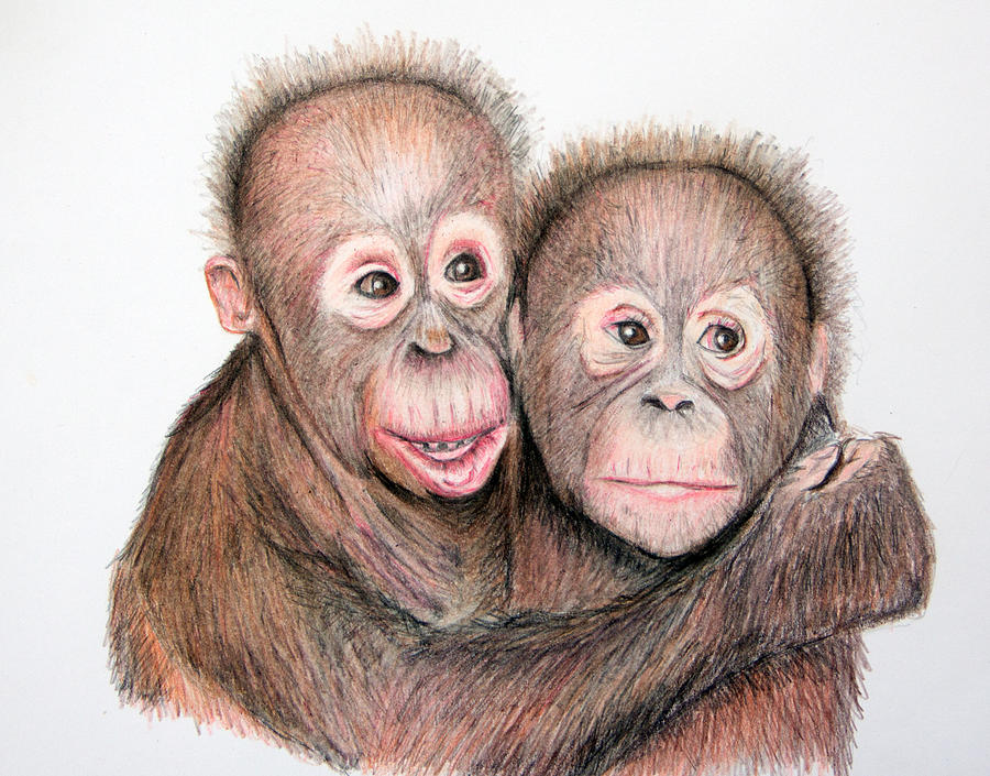 Nature Drawing - Brotherly love by Mary Mayes