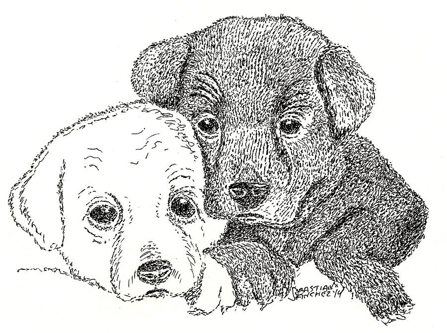 Puppies Drawing - Brothers by Sebastian Sanchez