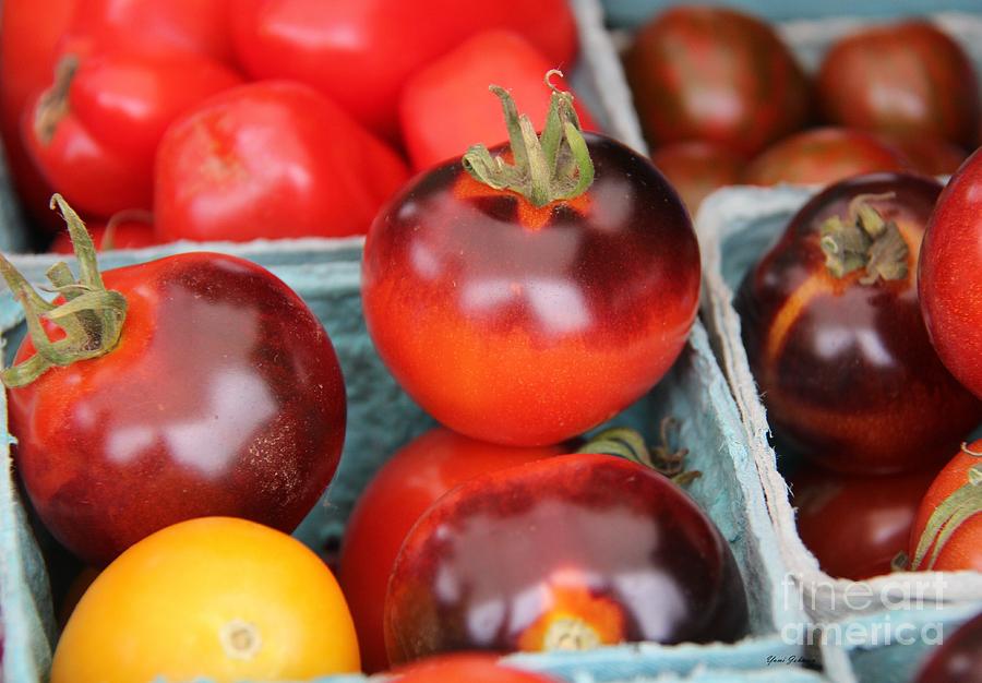 Brown and Red Tomatoes Photograph by Yumi Johnson