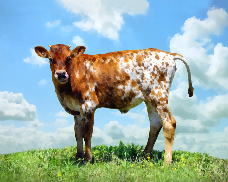 Brown and White Calf Painting by Ann Powell