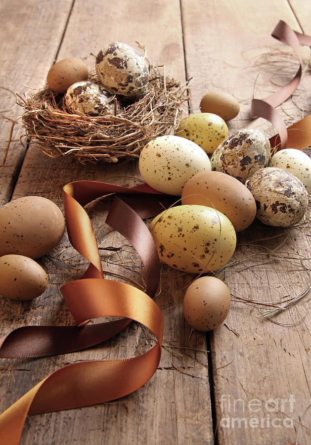 Easter Photograph - Brown and yellow eggs with ribbons for easter by Sandra Cunningham