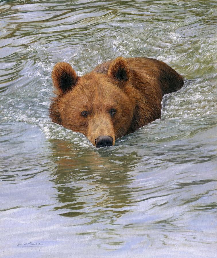 Brown Bear 1 Painting by David Stribbling