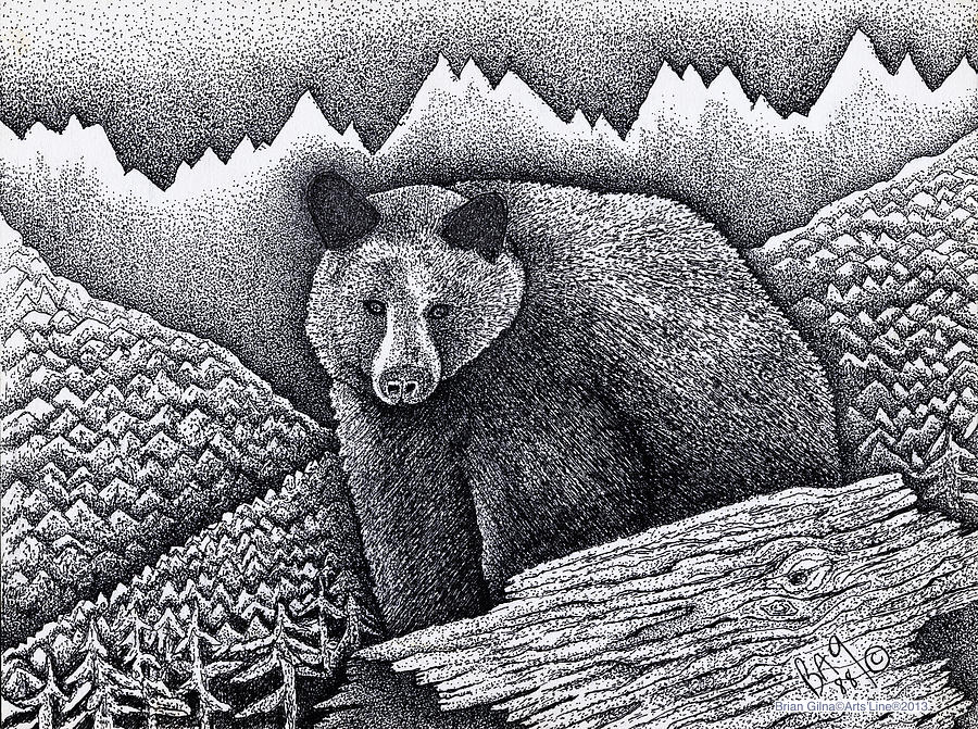 Brown Bear Drawing by Brian Gilna