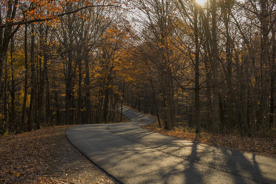 Fall Photograph - Brown County State Park Nashville Indiana Road by David Haskett II