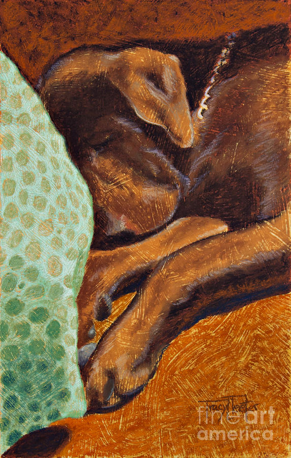 Brown Dog Pastel by Tracy L Teeter 