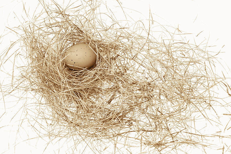 Chicken Photograph - Brown Egg in Bird Nest Sepia by Jennie Marie Schell