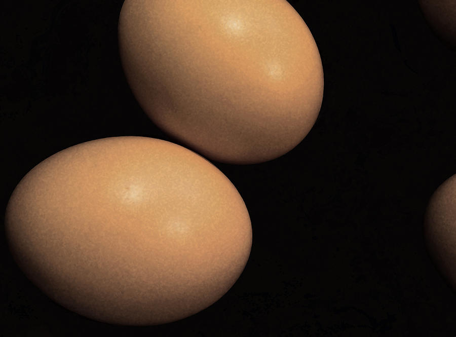 Brown Eggs Photograph by Bill Owen