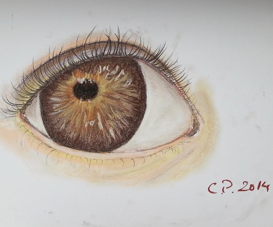 Brown eye Painting by Cristina Parus - Pixels