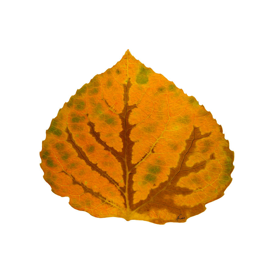 Brown Green and Orange Aspen Leaf 1 Digital Art by Agustin Goba