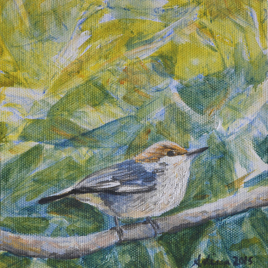 Wildlife Painting - Brown-headed Nuthatch - Birds in the Wild by Arlissa Vaughn