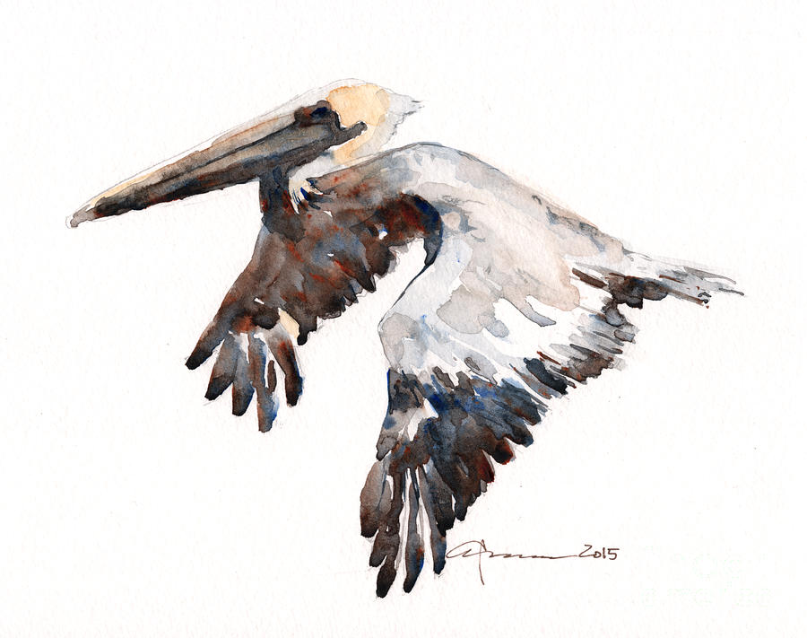 Brown Pelican Painting by Claudia Hafner
