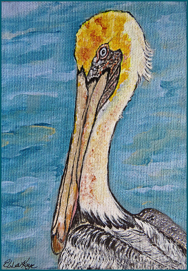 Animal Painting - Brown Pelican by Ella Kaye Dickey