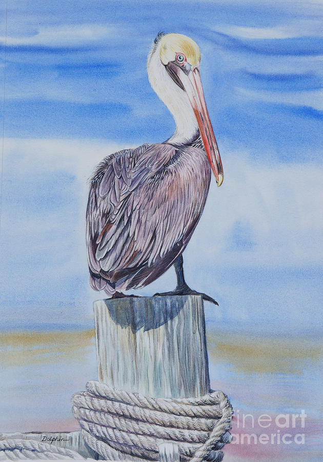 Brown Pelican Painting by Gail Dolphin - Fine Art America