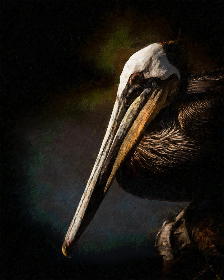 Brown Pelican Portrait Digital Art by Ernest Echols
