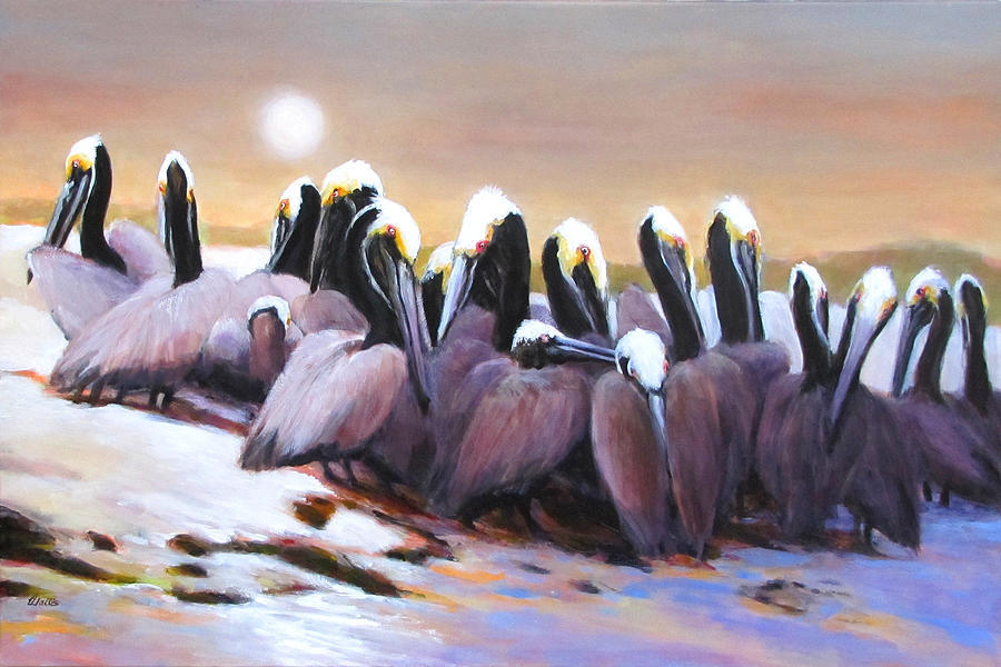 Bird Painting - Brown Pelicans Flock by Charles Wallis