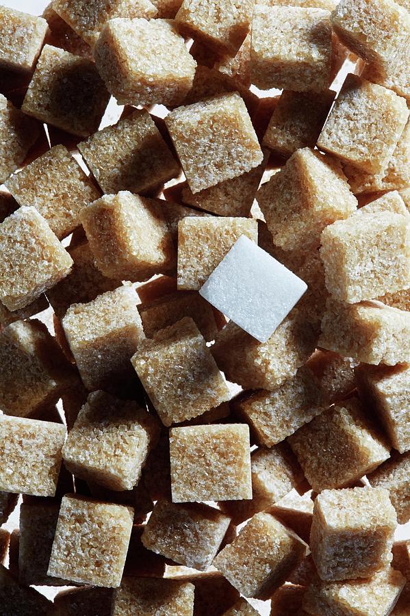 Brown Sugar Cubes With Single White Sugar Cube Photograph by Kevin ...