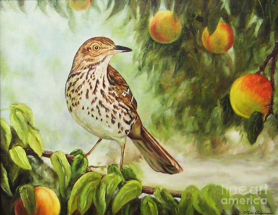 Brown Thrasher in a Peach Tree Painting by Tom Chapman