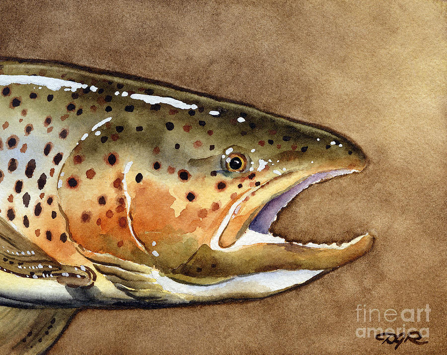 Brown Painting - Brown Trout by David Rogers