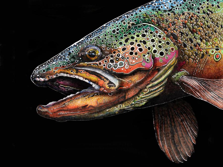 Brown Trout Head Shot No. 1 Drawing by Brian Murphy Fine Art America