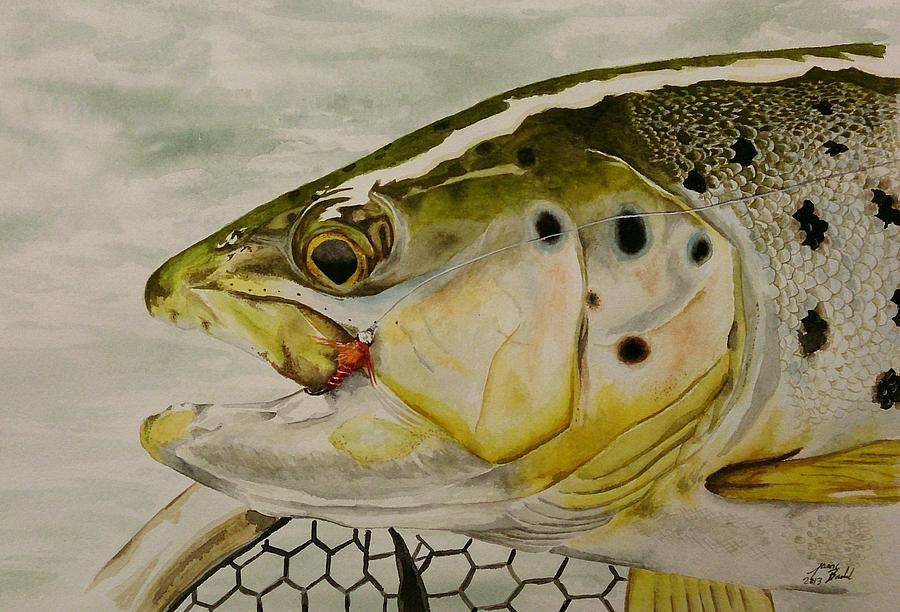 Trout Painting - Brown Trout by Jbs Water on Cotton