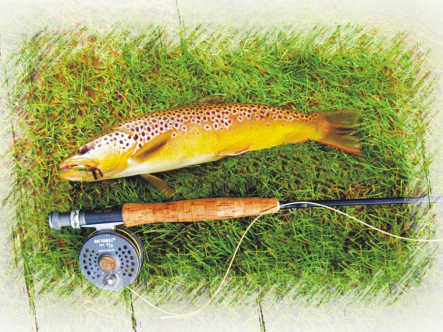 Brown Trout on the Fly Photograph by Joe Duket