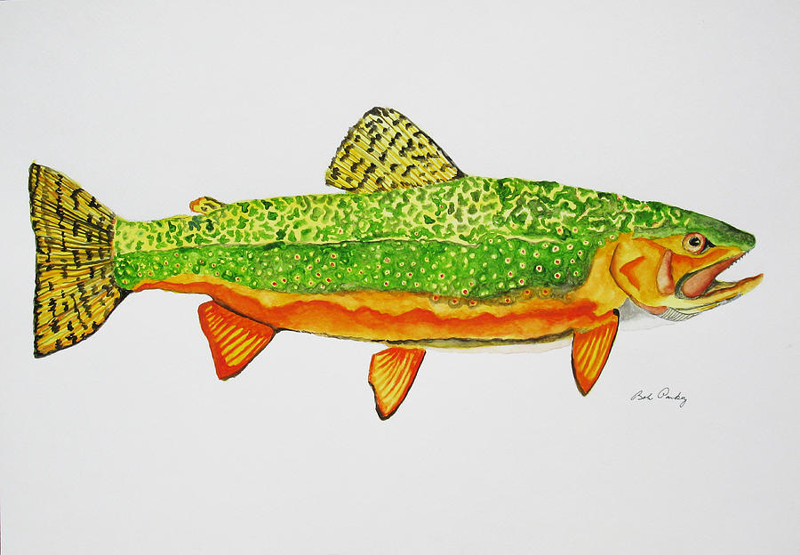 Brown Trout Painting by Robert and Jill Pankey - Fine Art America