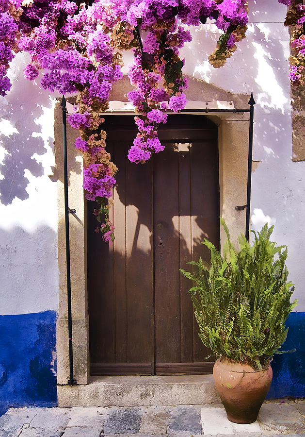 Brown Wood Door of the Medieval Village of Obidos Photograph by David Letts