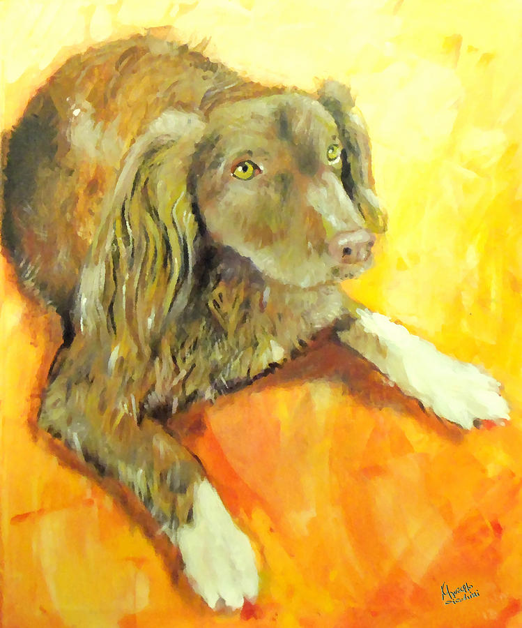 Brownie Painting by Marcello Cicchini - Fine Art America