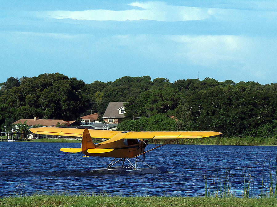 Browns Piper Cub Photograph by Christopher Mercer
