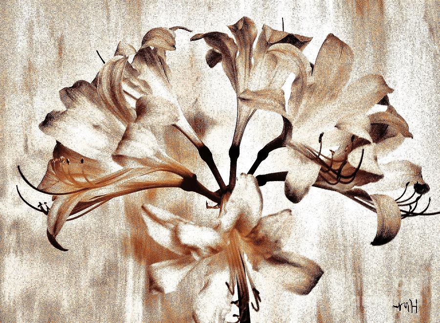 Digital Photograph - Browntoned Lilies by Marsha Heiken
