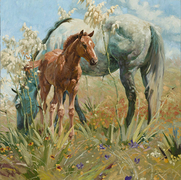 Springtime on the Llano Estacado  Digital Art by Bruce Greene