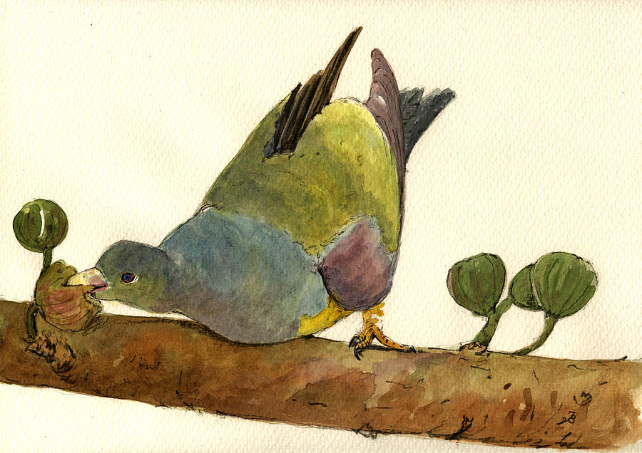Pigeon Painting - Bruce s Green Pigeon by Juan  Bosco