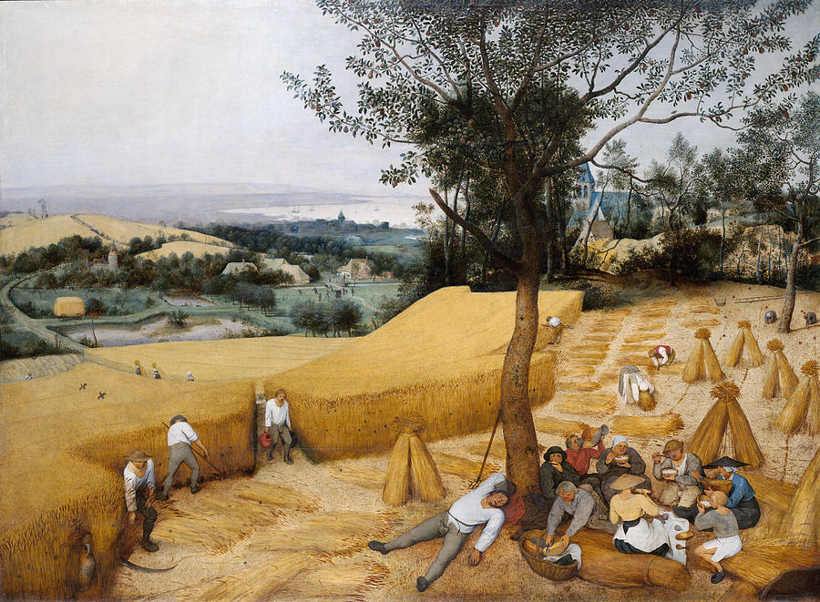 Bruegel Harvesters, 1565 Painting by Granger