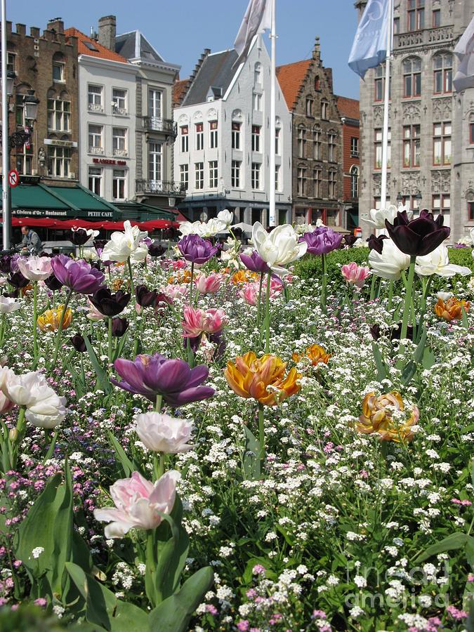 Brugge In Spring Photograph