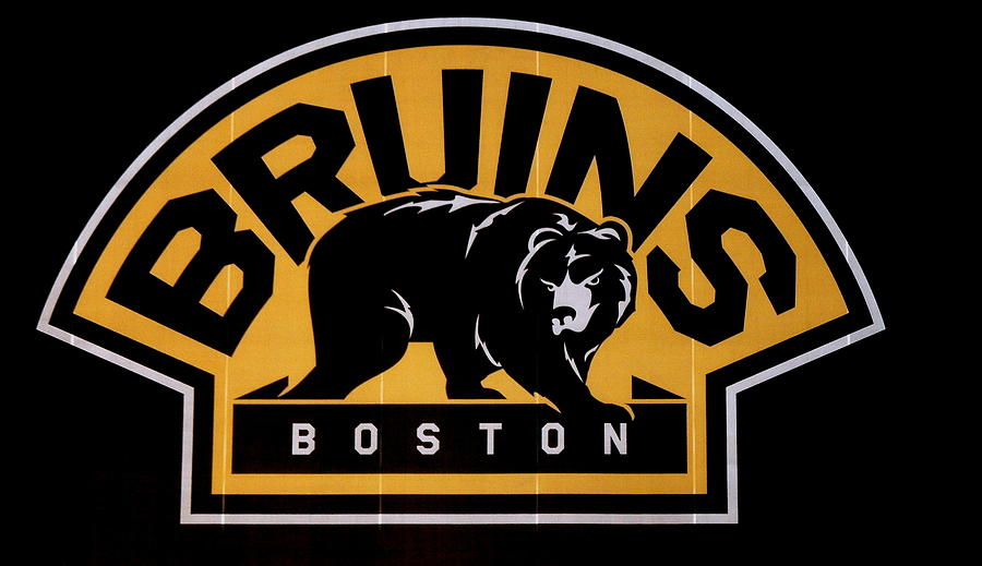 Bruins in Boston Photograph by Caroline Stella
