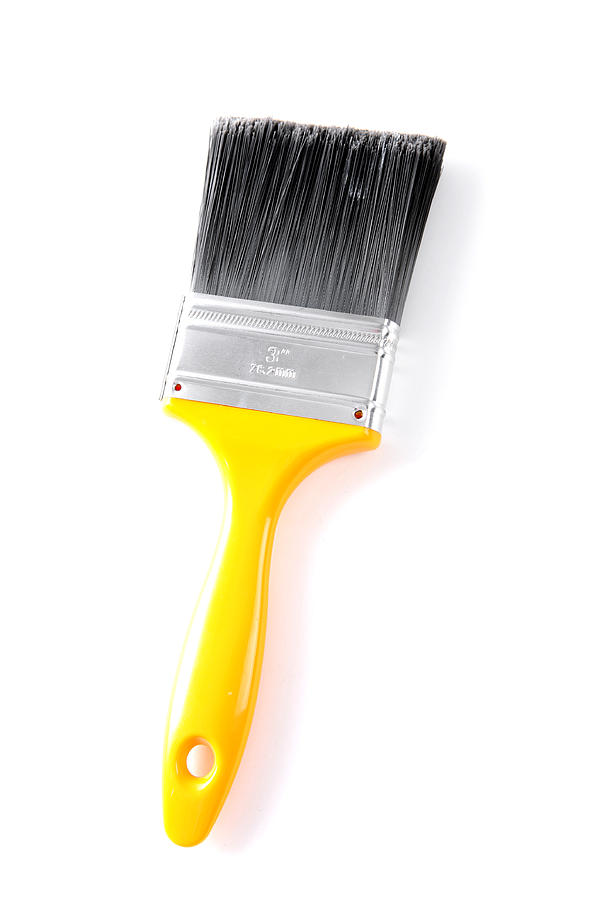 Brush Photograph by Blackwaterimages