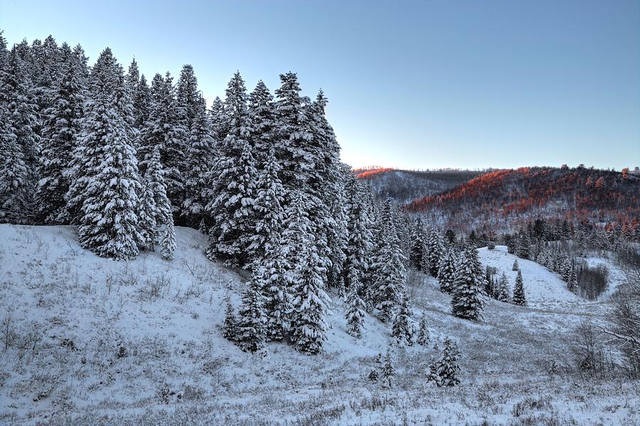 Brush of Winter Photograph by David Andersen
