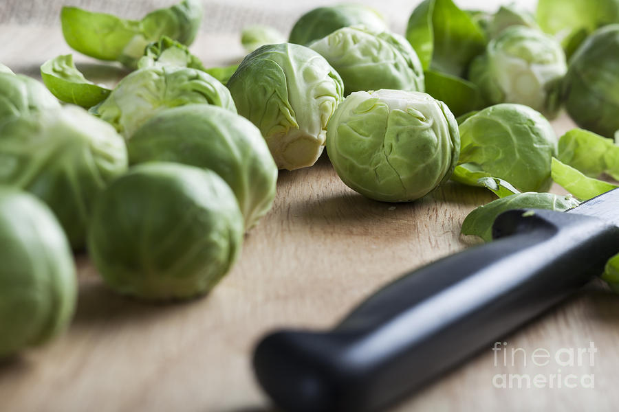Brussel Sprouts Photograph