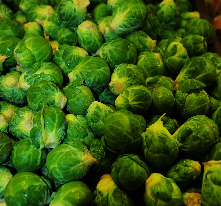 Brussel Sprouts Photograph by Robert Habermehl