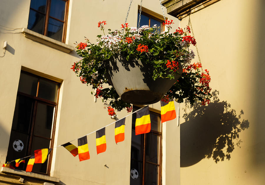 Flower Photograph - Brussels Belgium - Flowers Flags Football by Georgia Mizuleva