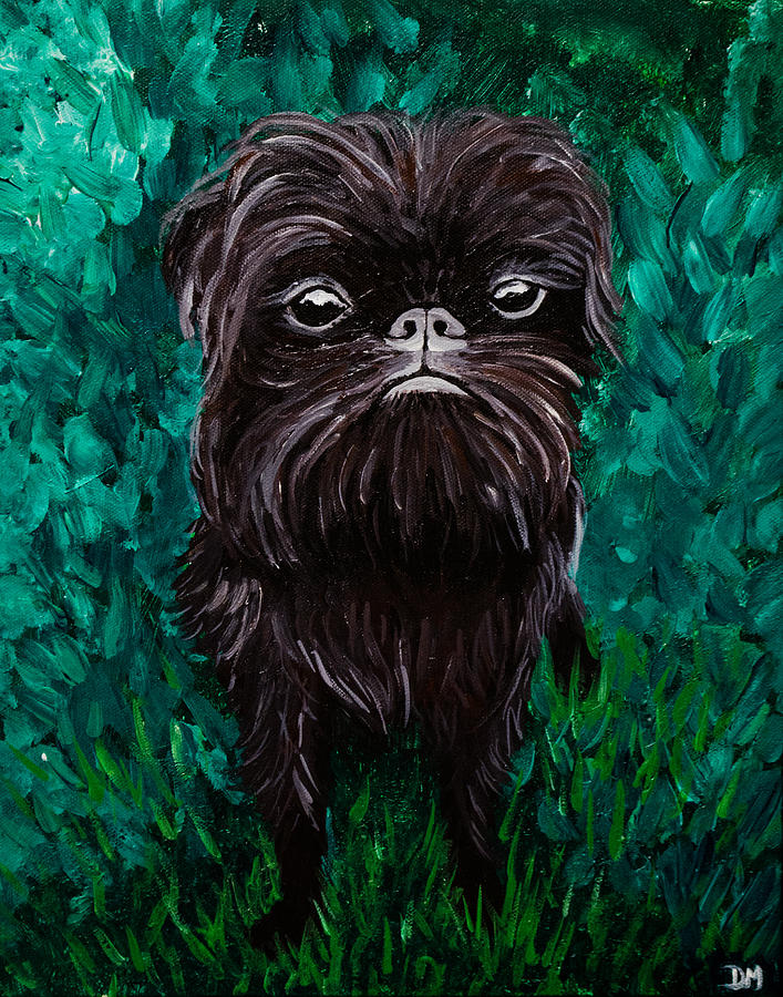 Verdell the Brussels Griffon