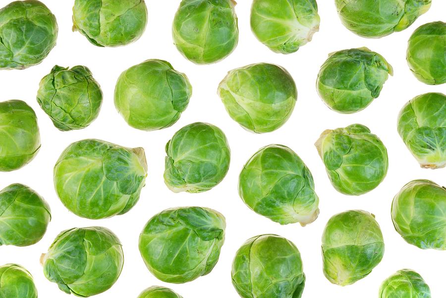 Cabbage Photograph - Brussels Sprouts by Jim Hughes